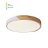 LED CEILING ROUND LIGHTING FIXTURE FINESSE R2-45 φ500*H50 45W 3xCCT-DIP SWITCH WHITE+WOOD 2026220 VITO